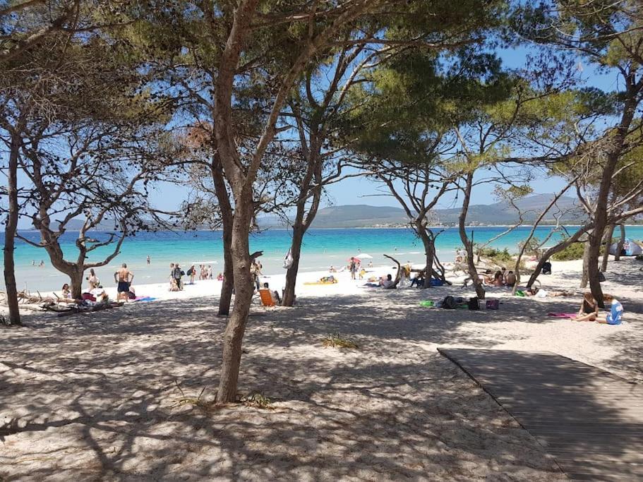 La Perla Bianca - Alghero Lido, Vicino Al Mare エクステリア 写真